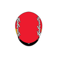 Terry Labonte Mini Replica  Open Face Helmet 1:2